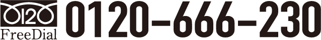 0120-666-230