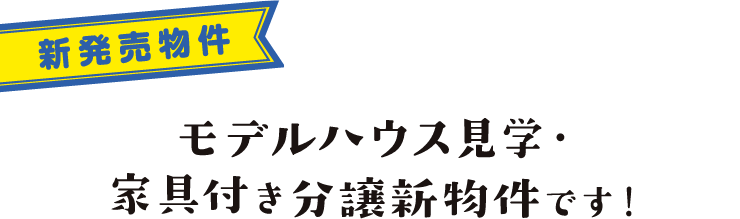 新発売物件 モデルハウス見学・家具付き分譲新物件です！