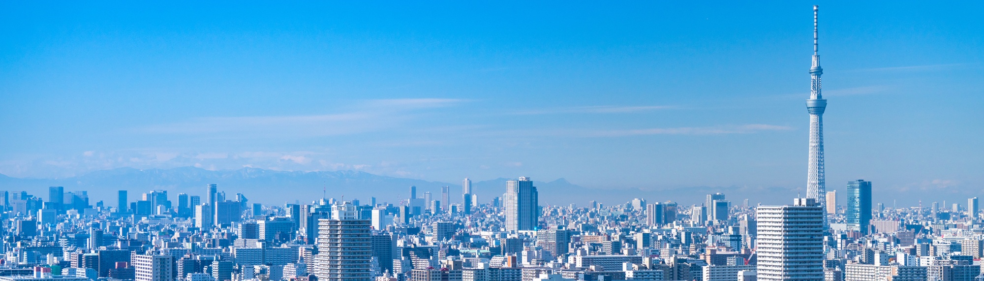 首都圏マンション情報