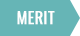 MERIT