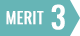 MERIT 3