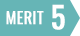 MERIT 5
