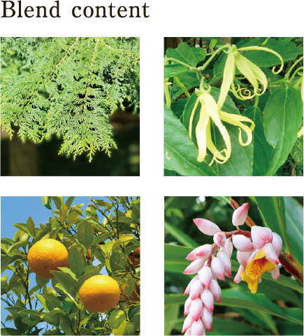 Blend content